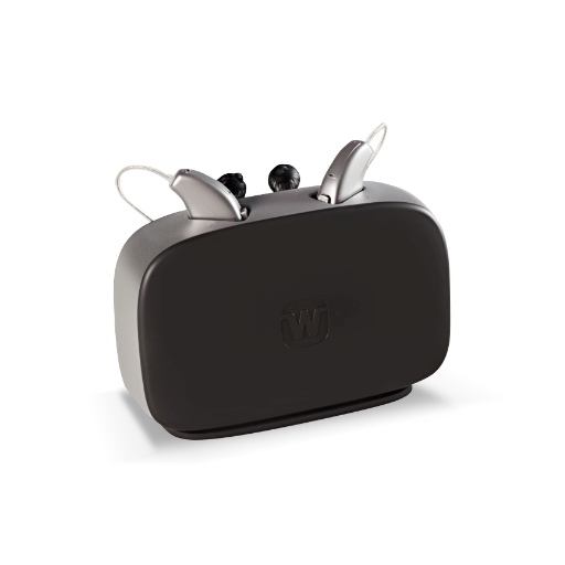  Charger WPT103 for sRIC R D