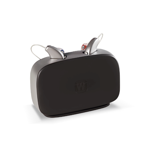  Charger WPT103 for sRIC R D
